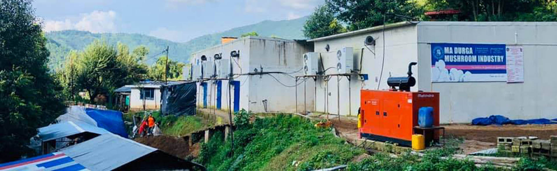 Welcome to Maadurgamushroom Industry